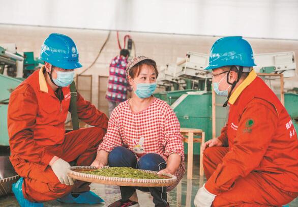 國家電網(wǎng)浙江電力紅船共產(chǎn)黨員服務(wù)隊:守護光明 他們在行動