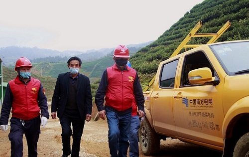 平塘供電局：“加減法”同構(gòu)服務(wù)，護(hù)航“貴州春茶第一壺”