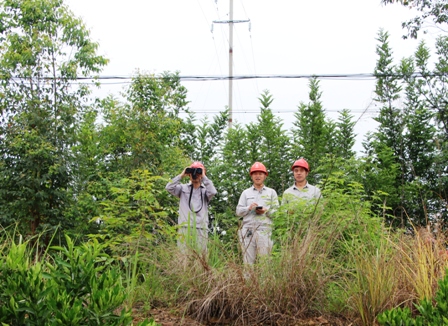 國網(wǎng)江永縣供電公司:負(fù)責(zé)人帶隊巡線，精施策護(hù)網(wǎng)保電