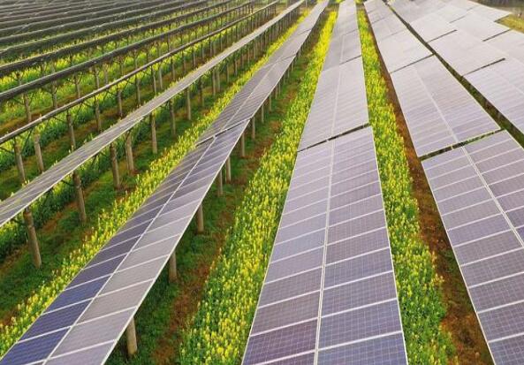 廣東清遠(yuǎn)建設(shè)小型農(nóng)光互補(bǔ)光伏發(fā)電站，工程總投資1.5億元