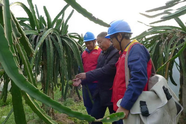 國網(wǎng)寧海縣供電公司：“電力紅馬甲”護航，退役軍人鄉(xiāng)村創(chuàng)業(yè)“紅如火”