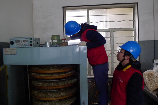 國(guó)網(wǎng)寧?？h供電公司：電力紅馬甲服務(wù)鄉(xiāng)村企業(yè) ，讓黃精變“黃金”