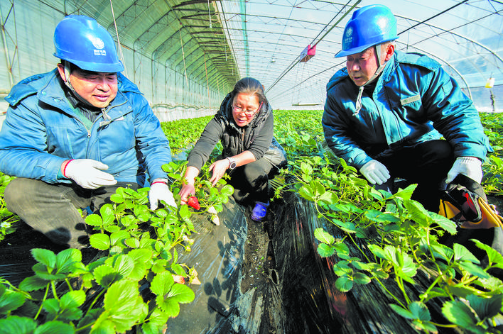 國網(wǎng)山東電力：鄉(xiāng)村電氣化 服務(wù)一體化