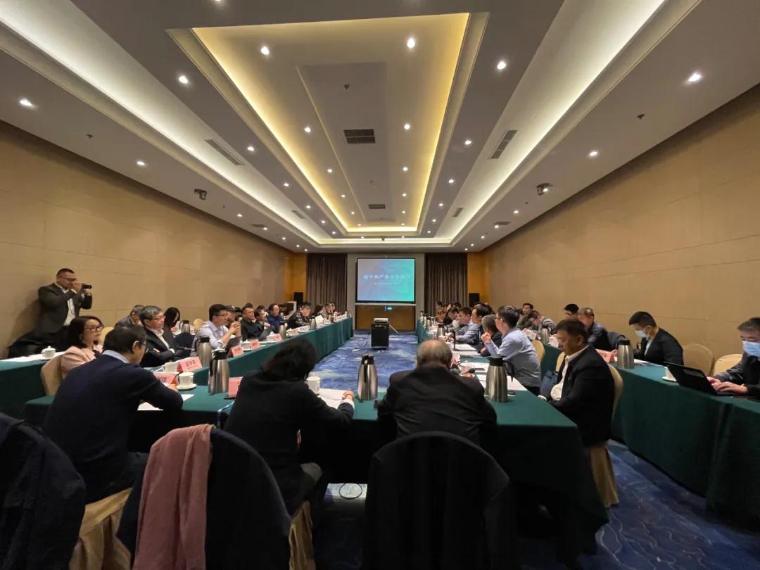 視全局、促合作，碳中和產(chǎn)業(yè)合作組織籌備會(huì)在京召開