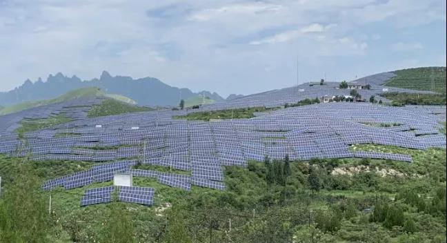 少長一棵草，多發(fā)一度電，助力碳中和