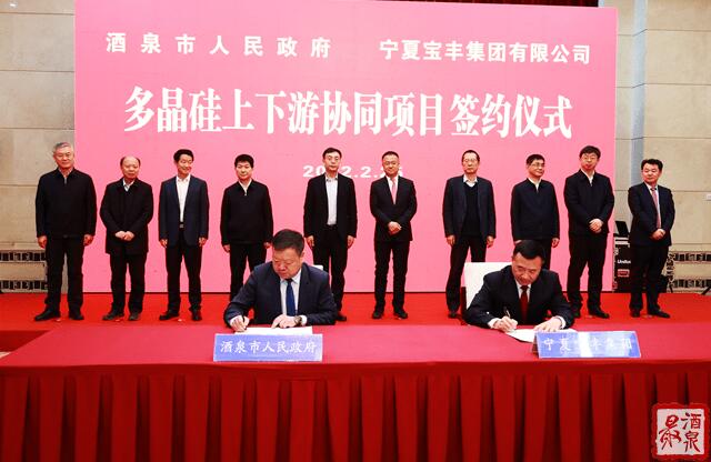 寶豐集團(tuán)擬在寧夏建設(shè)35萬噸工業(yè)硅、30萬噸多晶硅、50GW拉晶切片、30GW電池組件