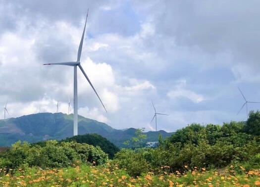 “碳”索之路，如何實現(xiàn)“先破后立”?