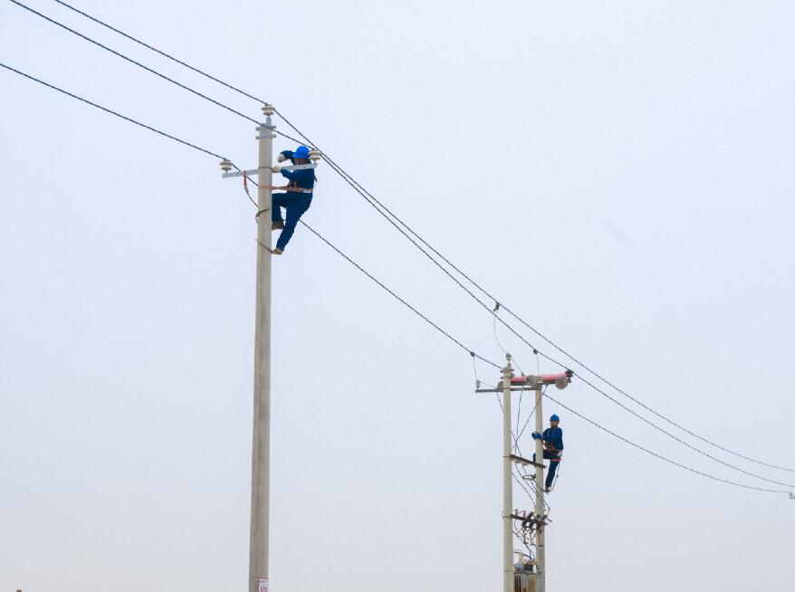 阿拉善供電公司：電網(wǎng)健康“體檢”，從登桿開始