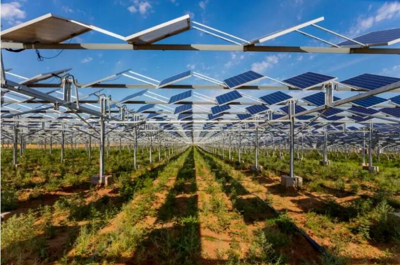 光伏治沙+風(fēng)光大基地，寧夏“走出”生態(tài)保護(hù)和高質(zhì)量發(fā)展新道路