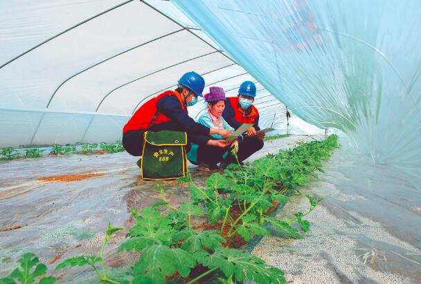上門服務(wù)，瓜甜心更甜