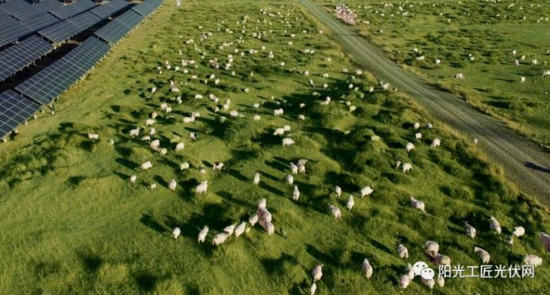 面積接近一個(gè)新加坡！青海塔拉灘光伏電站照亮“陽(yáng)光之路”
