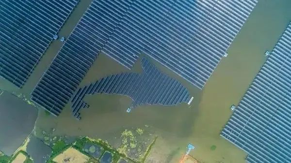 泗洪1000MW光伏領(lǐng)跑者項目被勒令拆除整改！