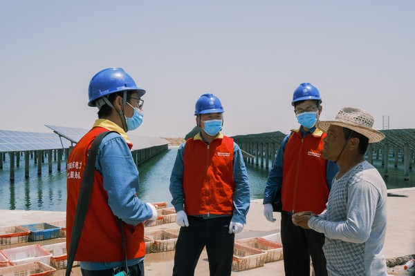 山東河口供電公司:漁光互補 生態(tài)富民
