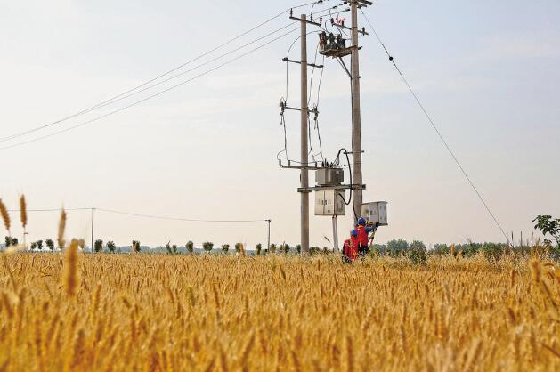 安徽阜陽(yáng)：“旱了能澆，澇了能排”