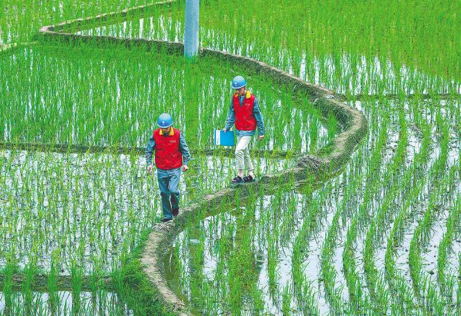 國(guó)家電網(wǎng)公司：全力以赴做好抗疫保供電，持續(xù)優(yōu)化電力營(yíng)商環(huán)境