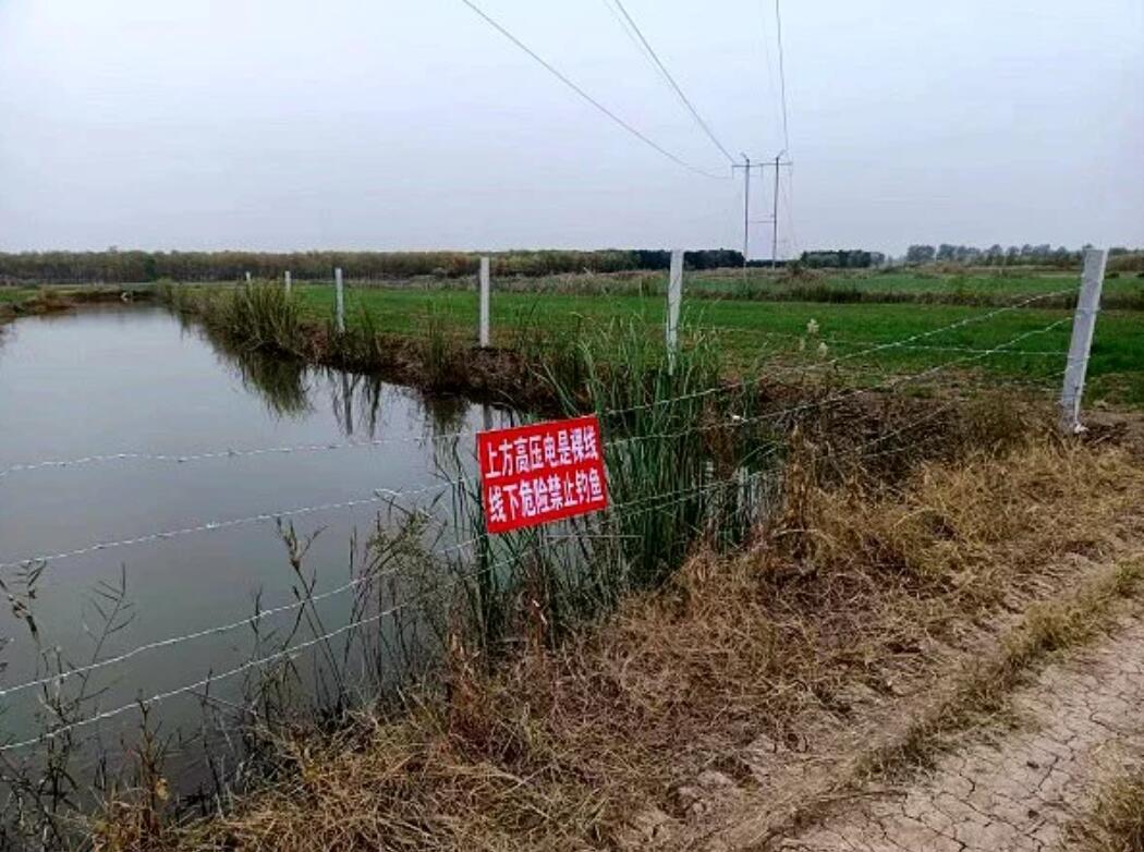 國網濟寧供電公司治理垂釣隱患，保電網安全運行