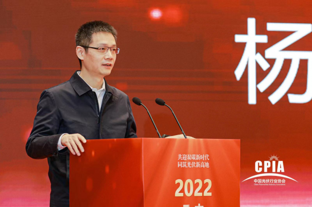 工信部楊旭東:推動(dòng)光伏與新型儲(chǔ)能電池協(xié)同發(fā)展應(yīng)用