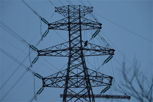 伊春供電公司:強(qiáng)化現(xiàn)場(chǎng)安全管控 高效推進(jìn)工程建設(shè)