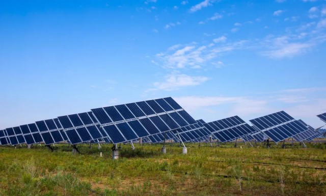 光伏新變局:穿越周期、不懼競爭