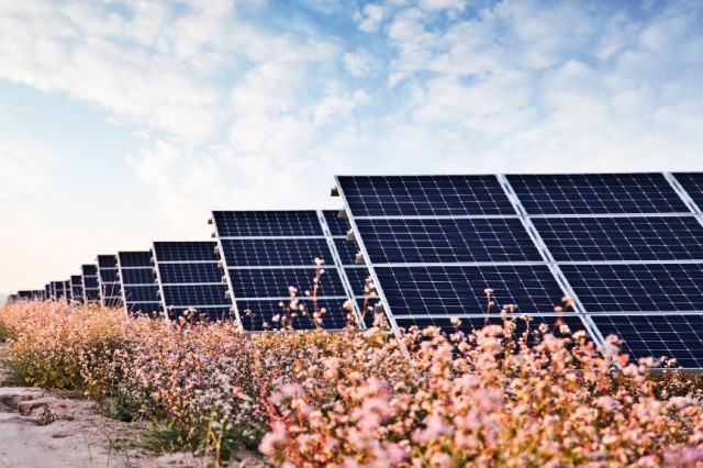 華能“嘗鮮”，攜隆基綠能打造高性價(jià)比光伏電站