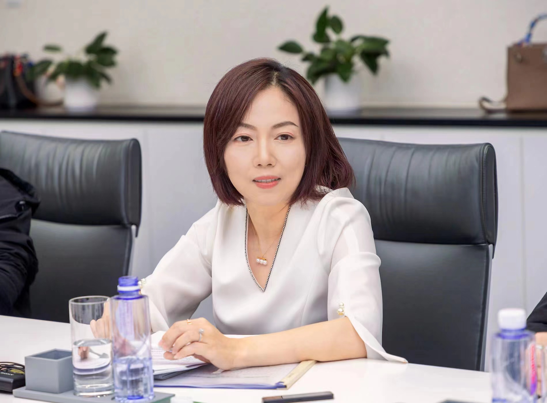 全國人大代表鐘錚:建議支持新型儲(chǔ)能發(fā)展 完善容量電費(fèi)機(jī)制