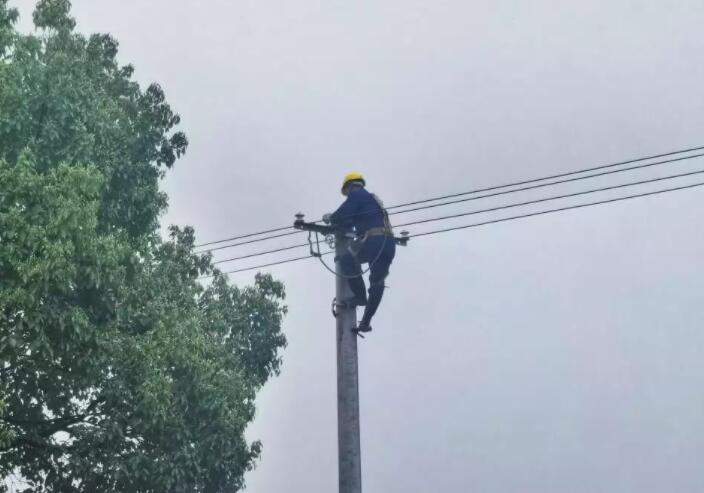 國網(wǎng)湘潭供電公司:黨員服務進田間 糧田春灌“電力足”