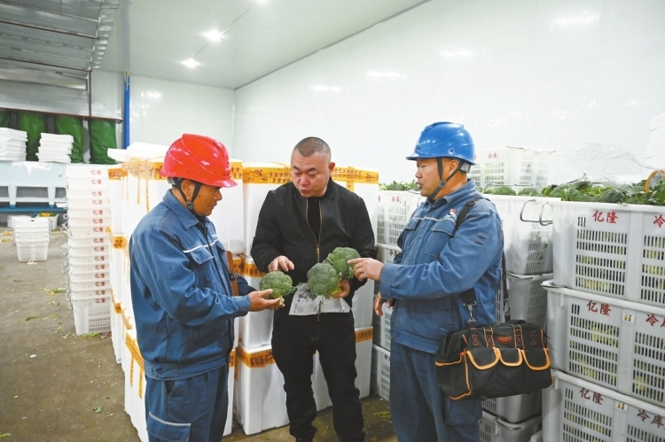 云南玉溪電助通海蔬菜“鮮”出國(guó)門(mén)