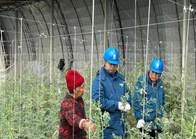 山東惠民供電公司：走訪種植大棚，優(yōu)化農(nóng)業(yè)營商環(huán)境
