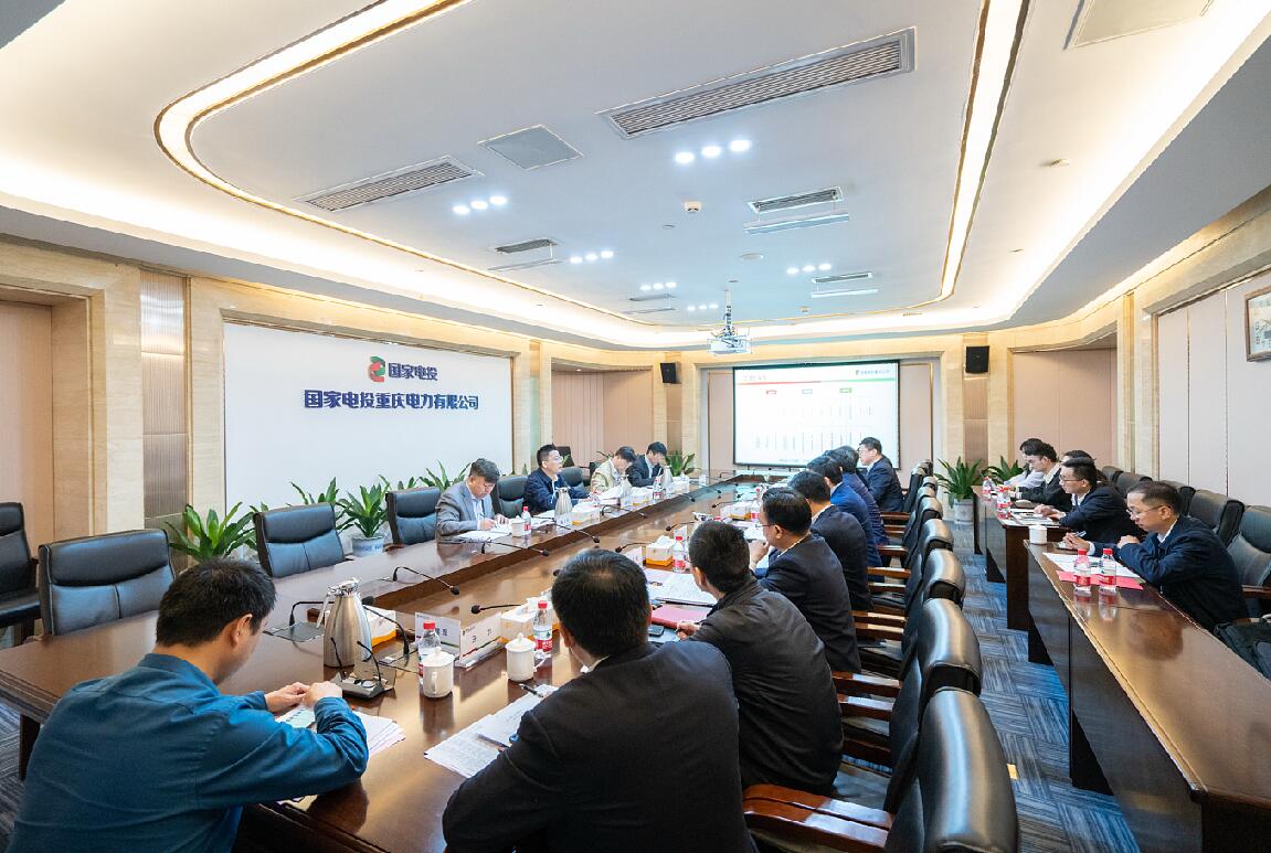 徐樹彪到重慶公司、遠(yuǎn)達(dá)環(huán)保調(diào)研