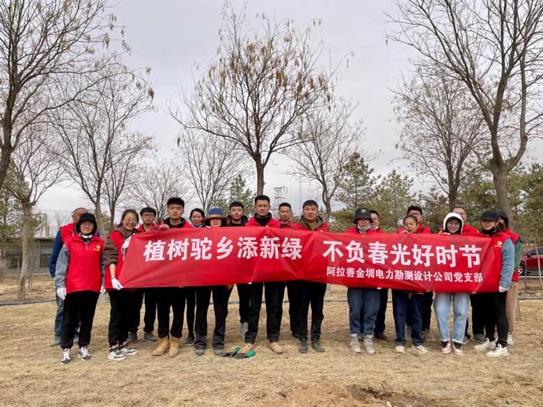 阿拉善金圳電力設(shè)計公司：植樹駝鄉(xiāng)添新綠 不負春光好時節(jié)