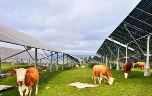 三峽集團白溝林200兆瓦光伏項目順利實現(xiàn)并網發(fā)電