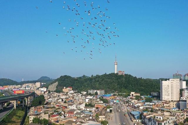 日“吞”垃圾500噸，年“吐”電能超億度!清鎮(zhèn)市首個生活垃圾焚燒發(fā)電項目并網(wǎng)發(fā)電
