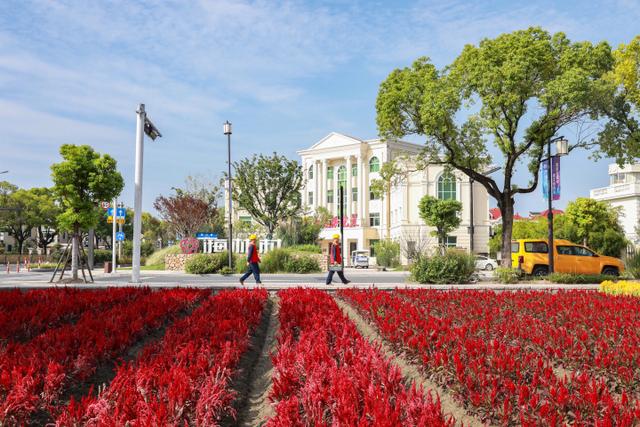 “電靚”和美鄉(xiāng)村，過去20年，杭州電力做了什么