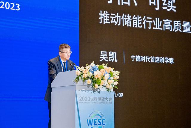 寧德時代首席科學(xué)家吳凱:警惕儲能一哄而上的風(fēng)險|最前線