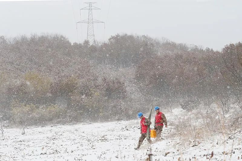 國(guó)家電網(wǎng)全力應(yīng)對(duì)寒潮，保障電力可靠供應(yīng)