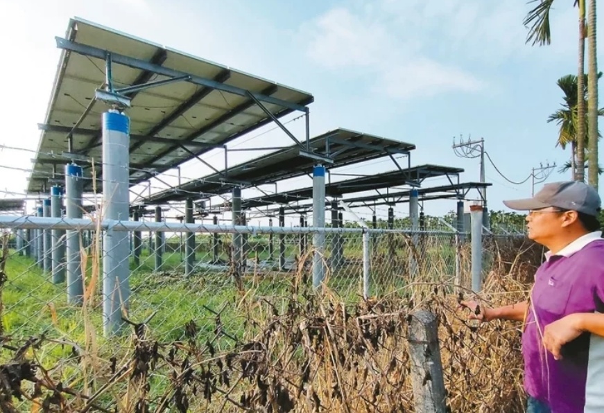 臺(tái)媒：農(nóng)田“種電”讓農(nóng)民苦不堪言，島內(nèi)面臨農(nóng)電兩失困境