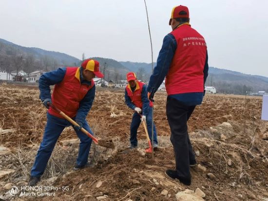 國網(wǎng)洛南縣公司“紅馬甲”義務植樹 為康養(yǎng)洛南添新綠