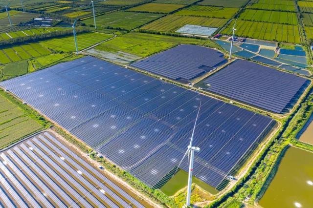 中國(guó)“雙碳”之路，要怎么走?