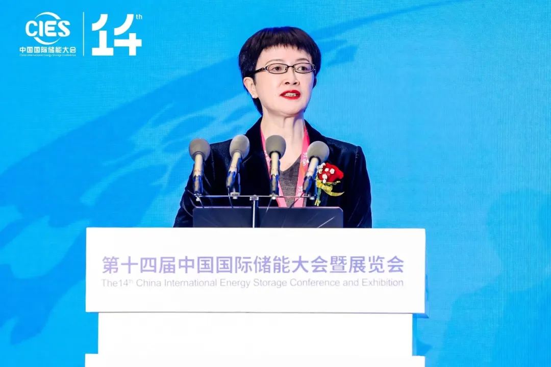 國家能源局科技司原副司長劉亞芳:大量已建成新型儲能項(xiàng)目調(diào)用率有待提升