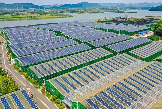 運鴻集團攜手光伏清潔能源，開啟綠色產業(yè)新篇章