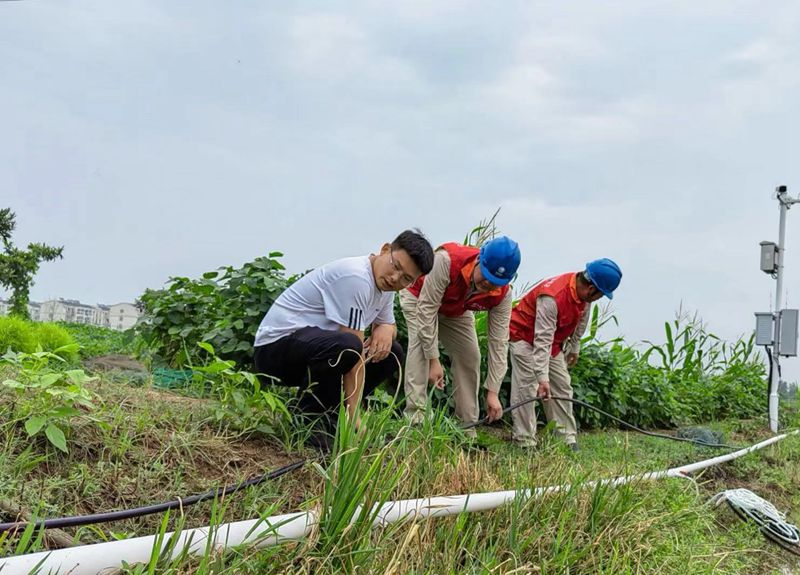 國網(wǎng)江蘇電力睢寧縣供電公司:電力護(hù)航不誤農(nóng)時