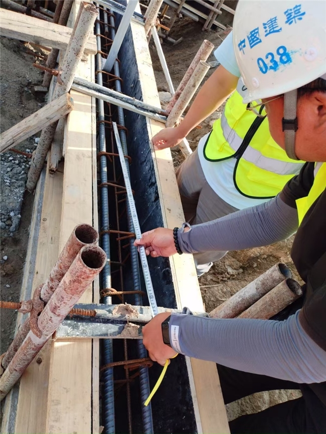 黨員先鋒展風(fēng)采，鑄就工程新樣板