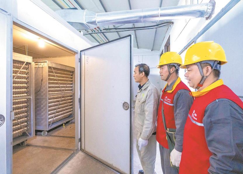 重慶長壽:禽產(chǎn)業(yè)電氣化孵化養(yǎng)殖