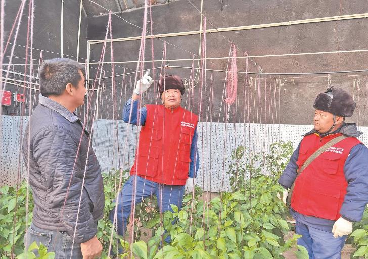 青海循化撒拉族自治縣大棚變智能，果蔬產(chǎn)量增