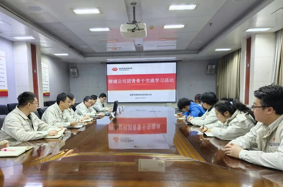 國能聊城公司舉辦團(tuán)青骨干業(yè)財融合主題研學(xué)活動聚合力啟新程